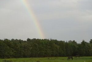 Front Field with Rainbow